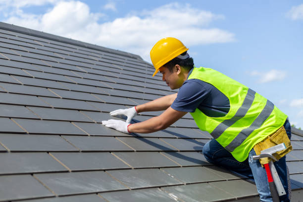 Best Roof Gutter Cleaning  in Binghamton, NY