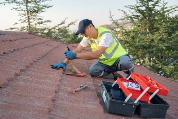 Best Metal Roofing Contractor  in Binghamton, NY