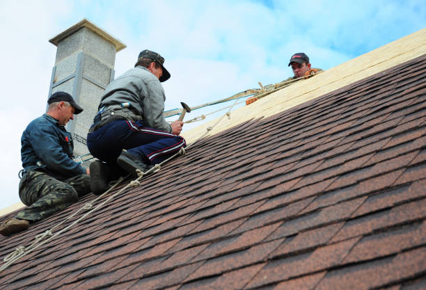 Best Gutter Installation and Roofing  in Binghamton, NY